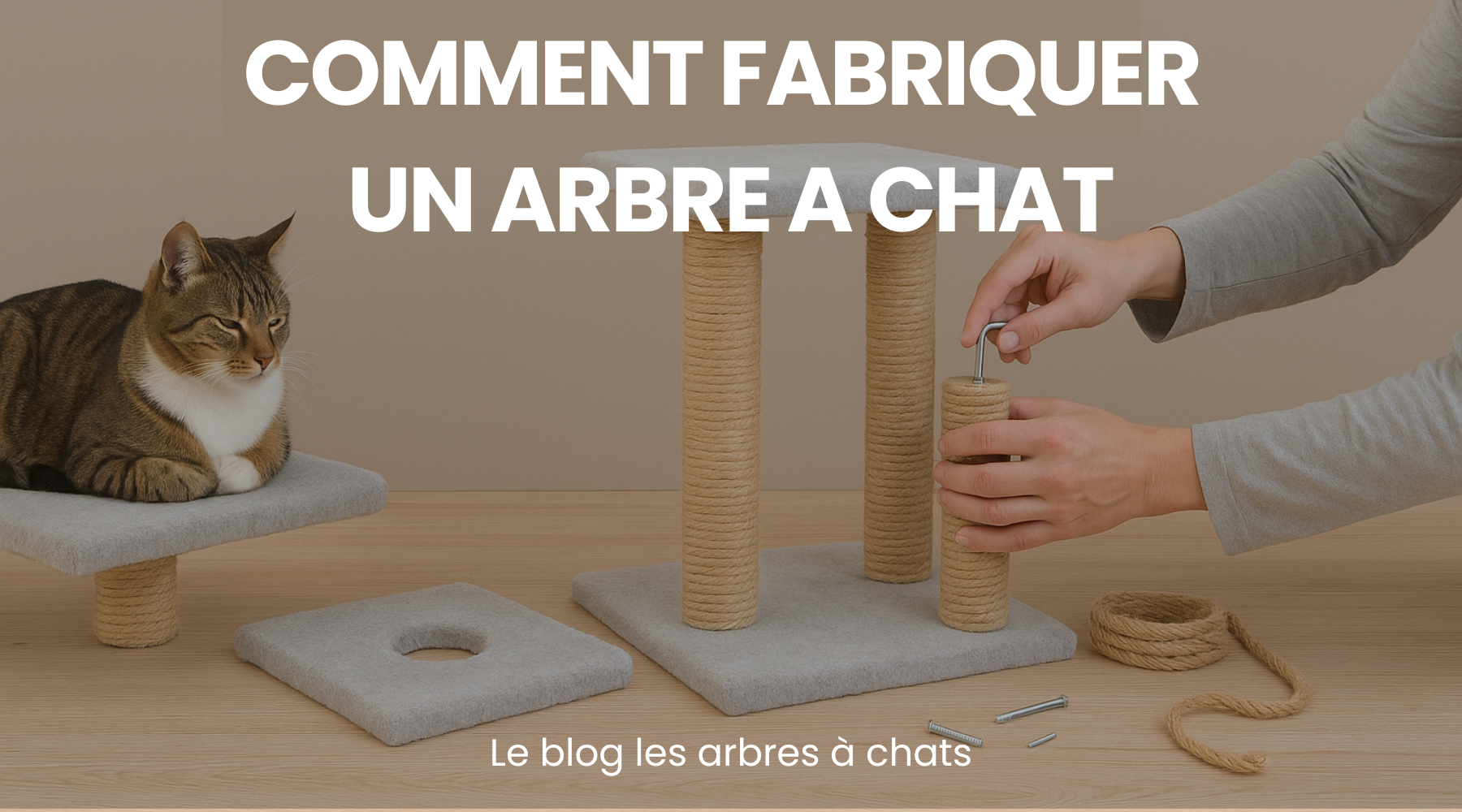 Comment fabriquer un arbre à chat ? - Le guide les arbres à chats