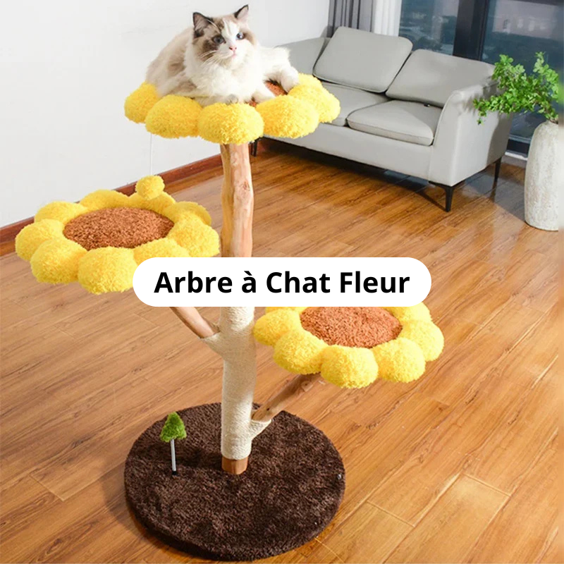 Arbre à Chat Fleur Image