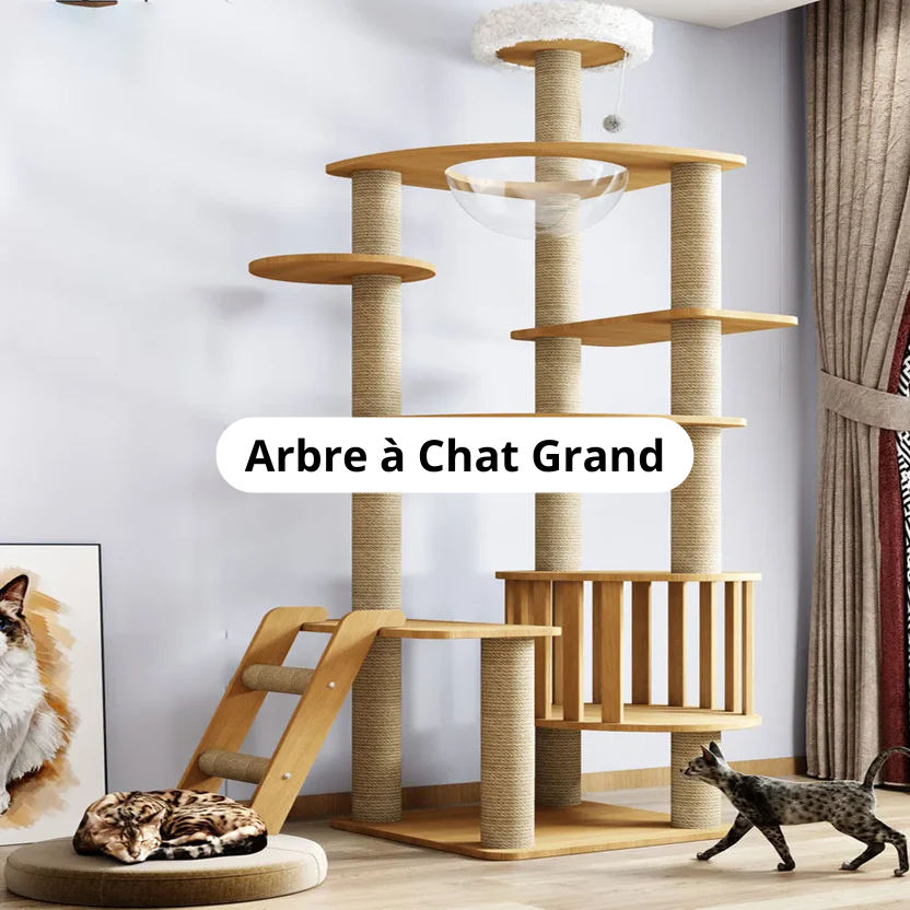 Arbre à Chat Grand Image