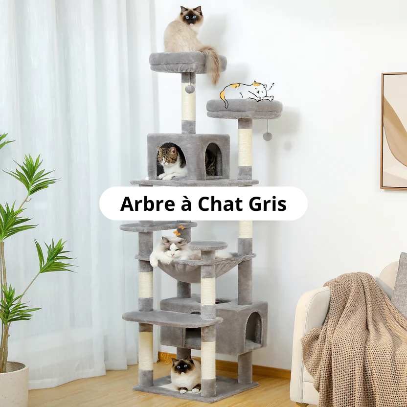 Arbre à Chat Gris Image