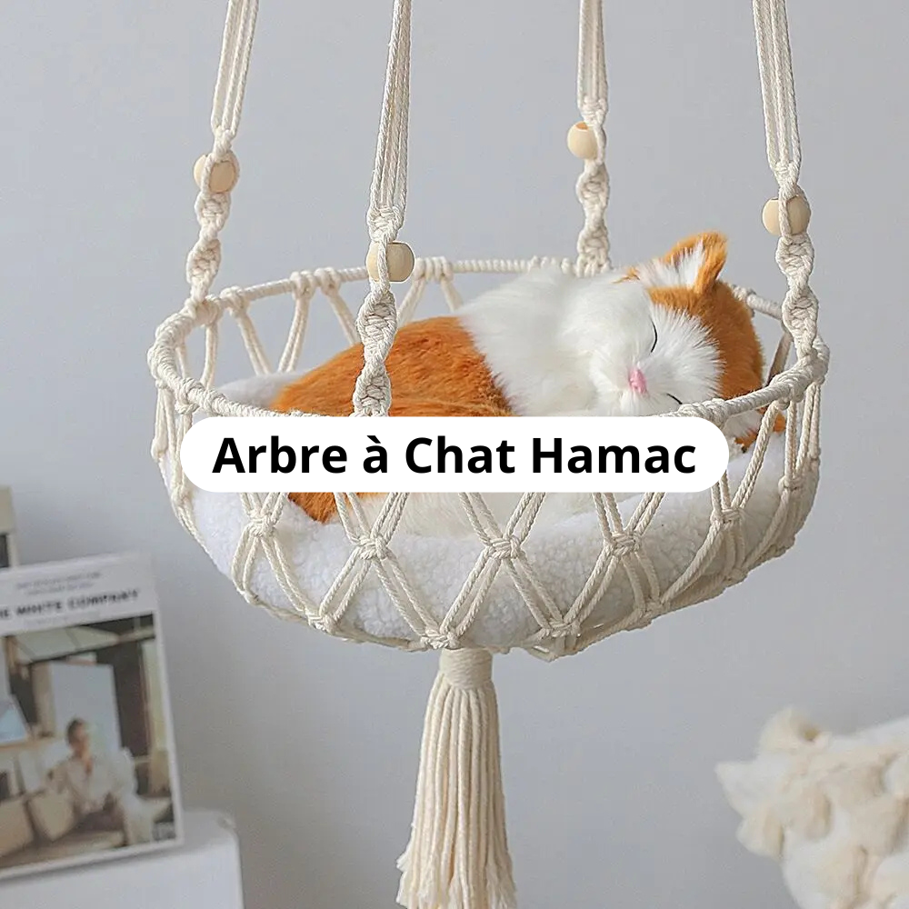 Arbre à Chat Hamac Image