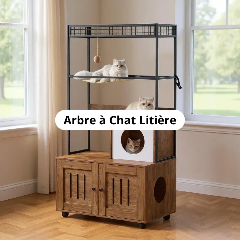Arbre à Chat Litière Image