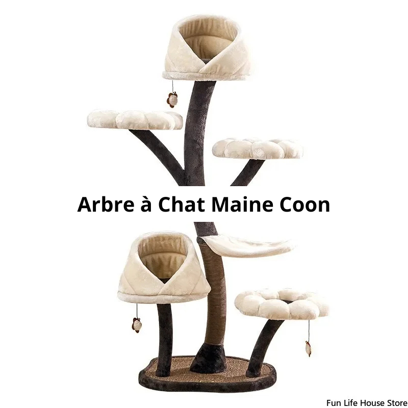 Arbre à Chat Maine Coon Image