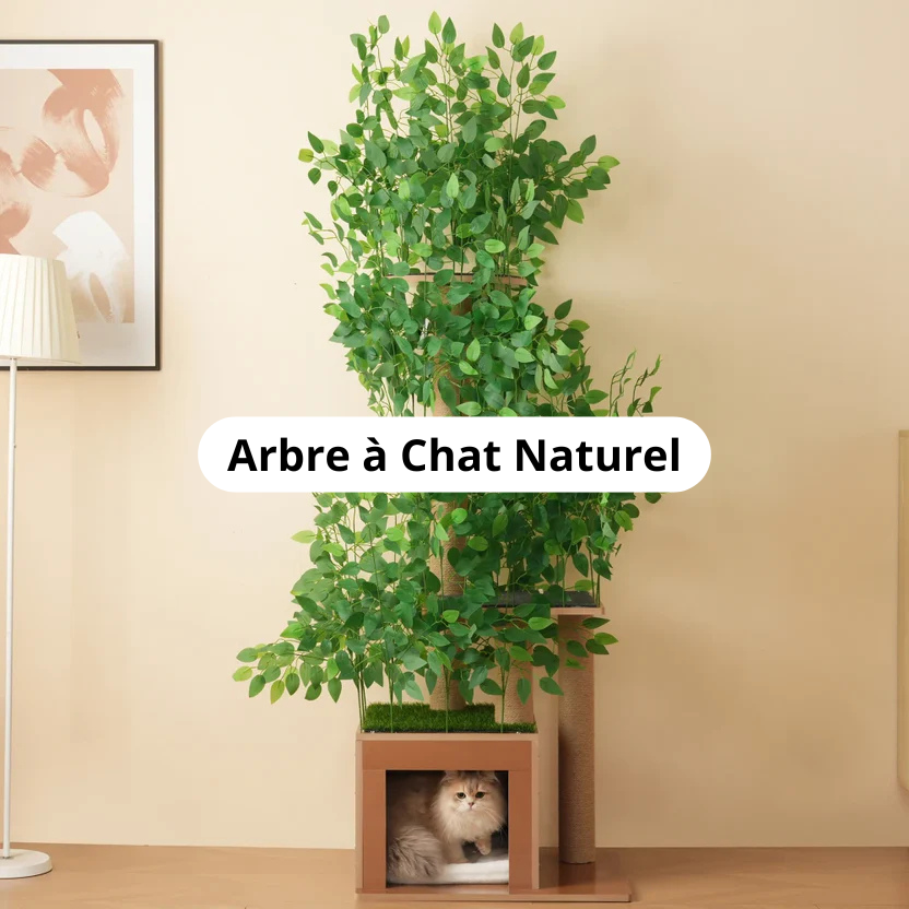 Arbre à Chat Naturel Image