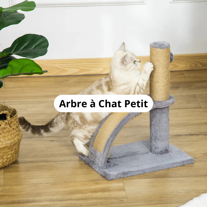Arbre à Chat Petit Image