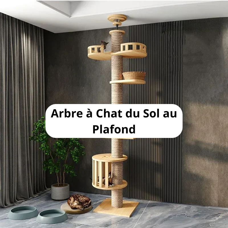 Arbre à Chat du Sol au Plafond Image