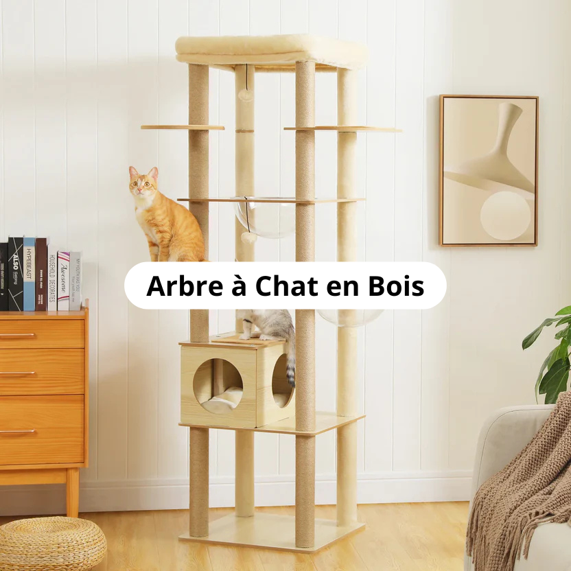 Arbre à Chat Bois Image