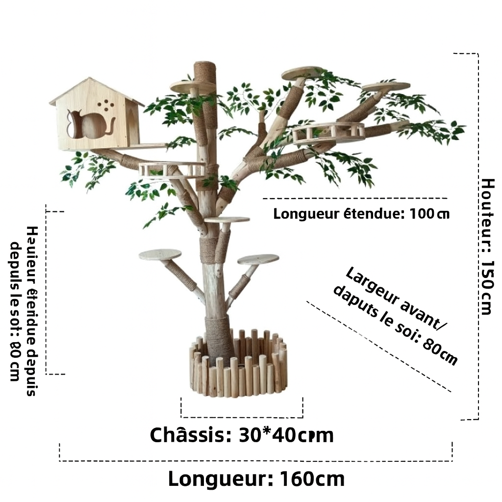 Arbre à Chat Paradis