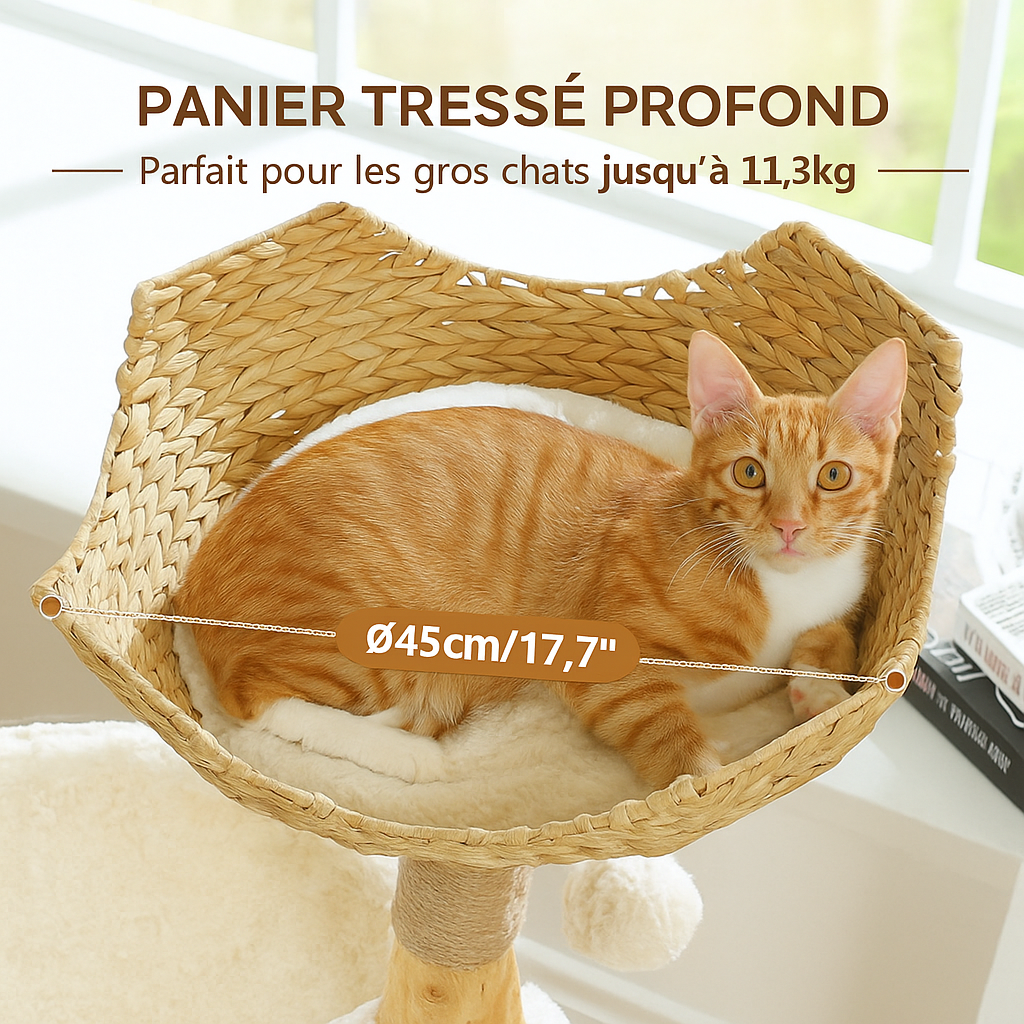 Petit Arbre à Chat en Bois Design