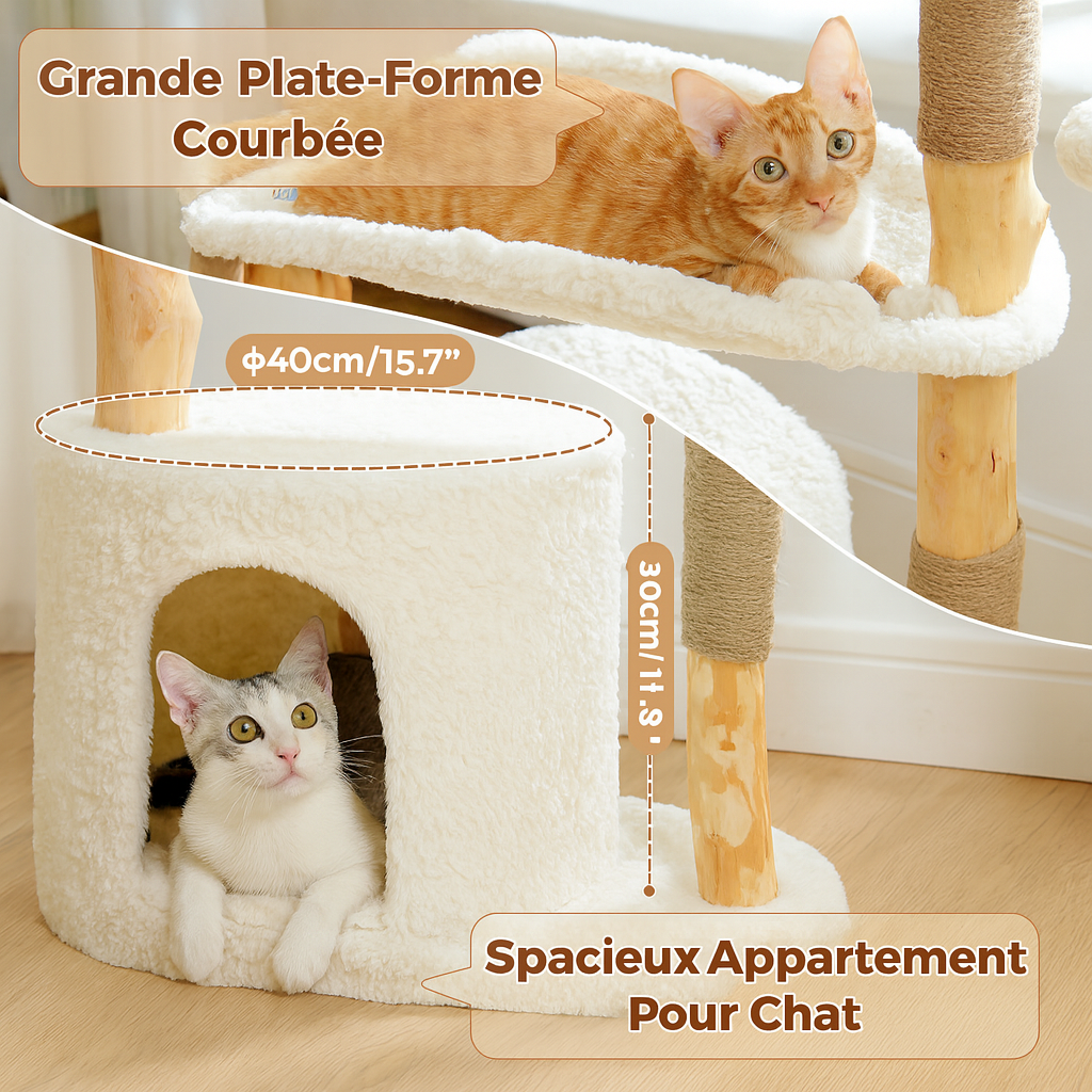 Petit Arbre à Chat en Bois Design