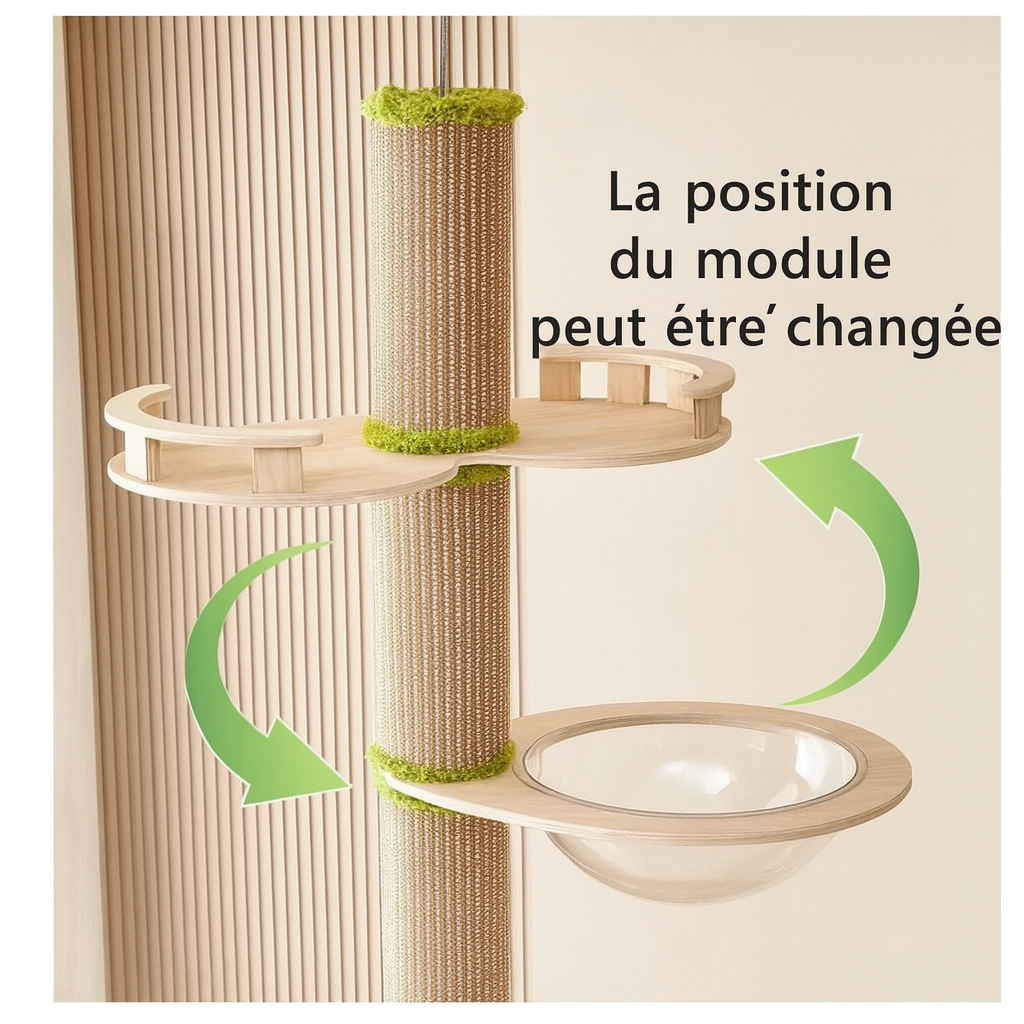 Arbre à Chat en Bois Moderne