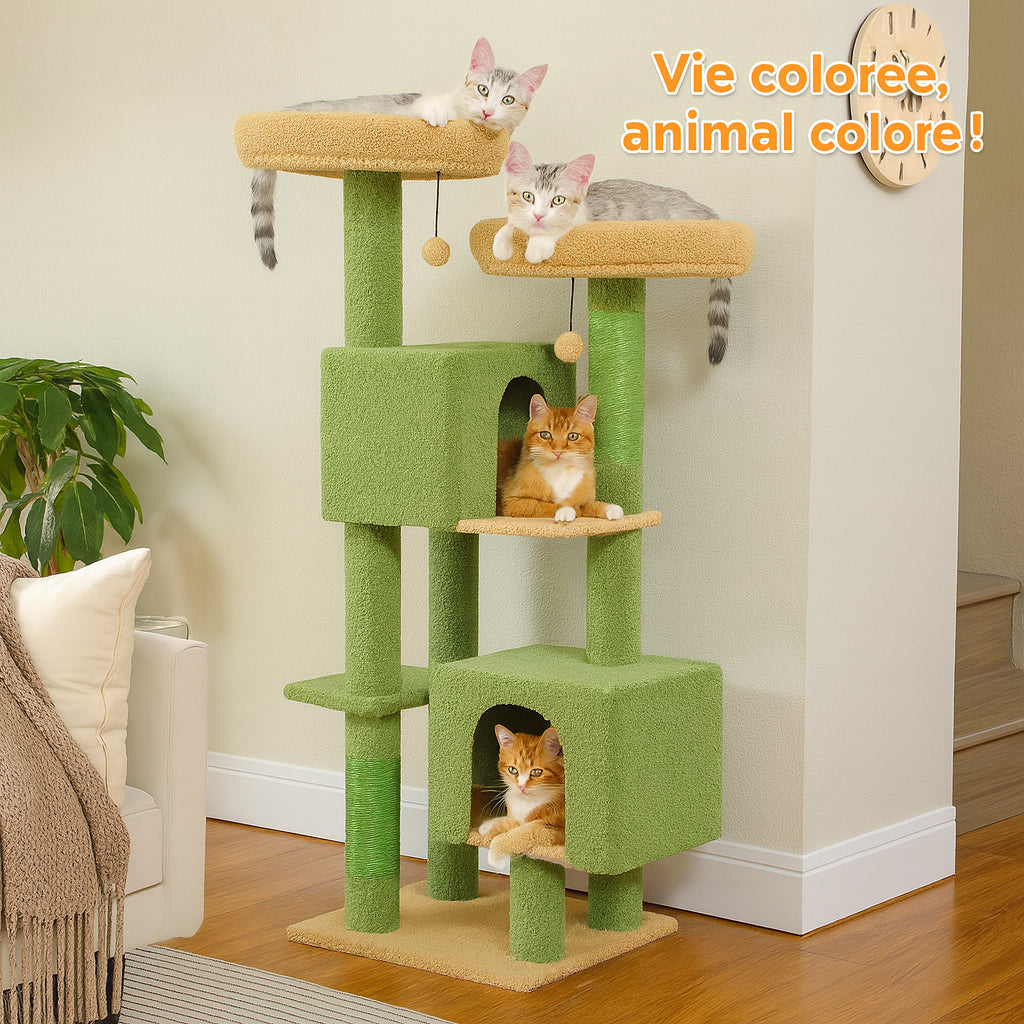 Arbre à Chat Cactus avec Doubles Niches