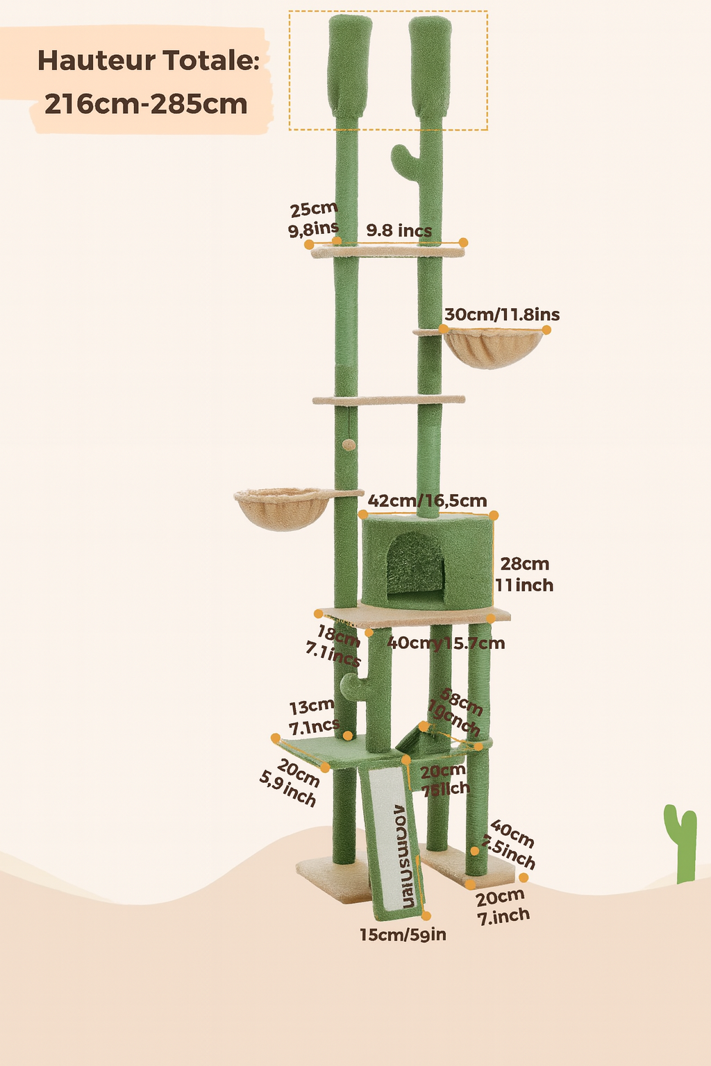 Arbre à Chat Cactus du Sol au Plafond