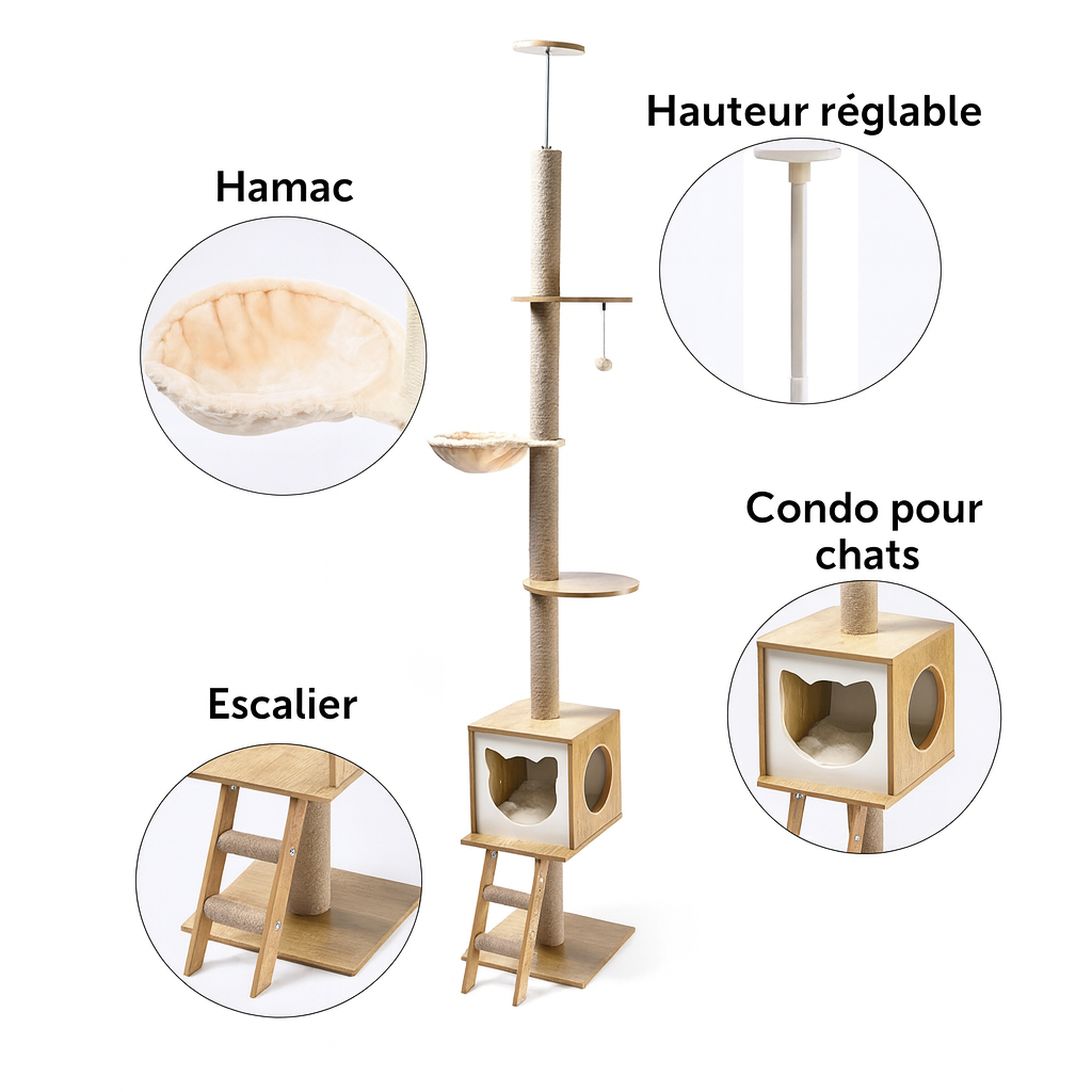 Arbre à Chat en Bois du Sol au Plafond