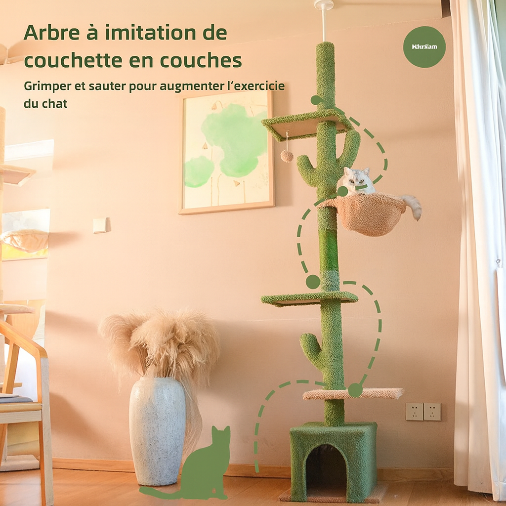 Arbre à Chat Cactus pilier