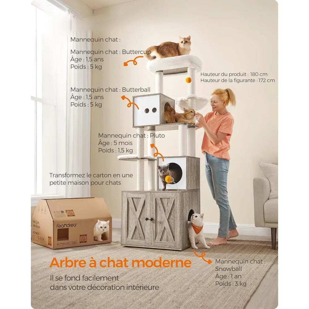 Arbre à Chat gris avec Litière