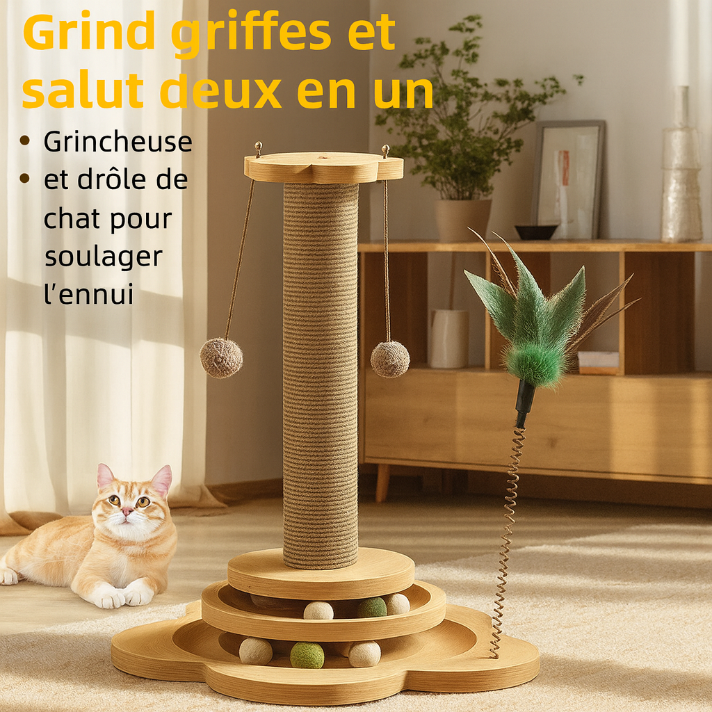 Arbre à Chat Chaton