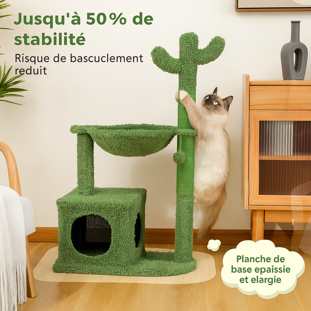 Petit Arbre à Chat Cactus