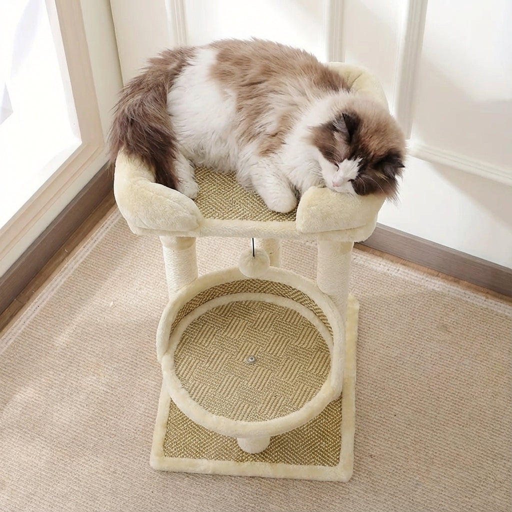 Arbre à Chat Blanc Simple