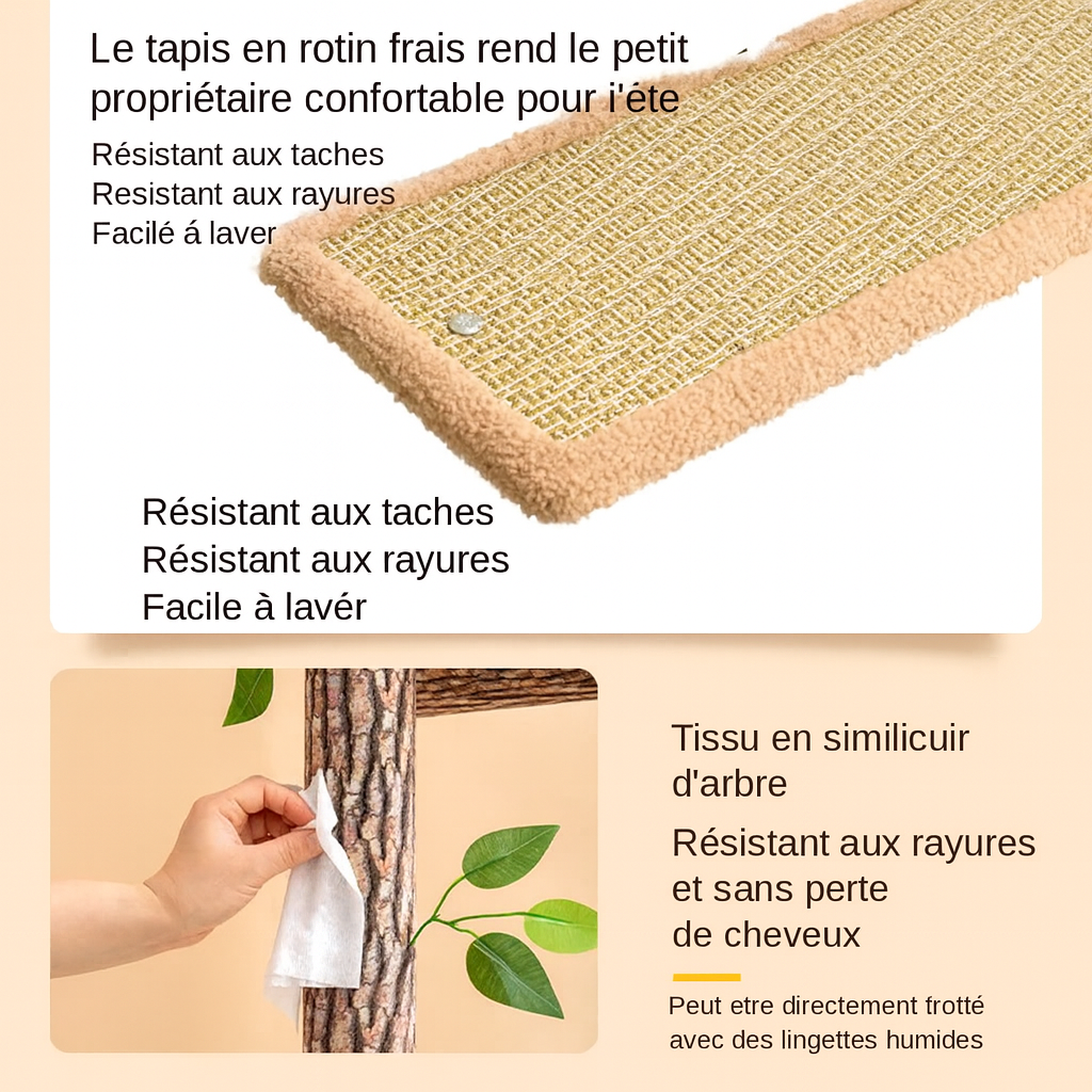 Arbre à Chat Design Naturel