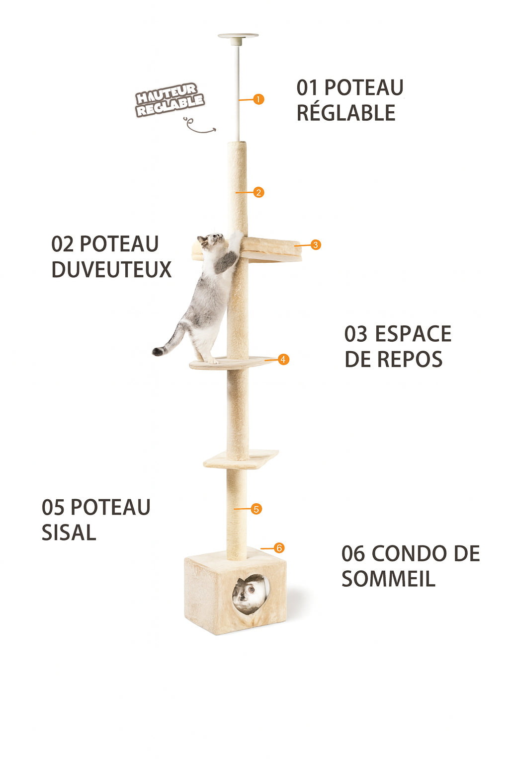 Arbre à Chat en Bois du Sol au Plafond