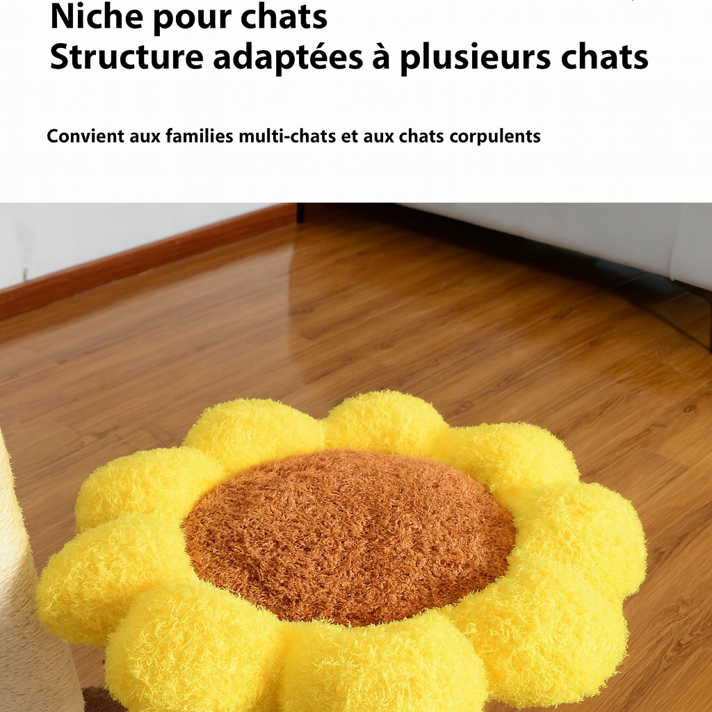 Arbre à Chat Fleur Jaune