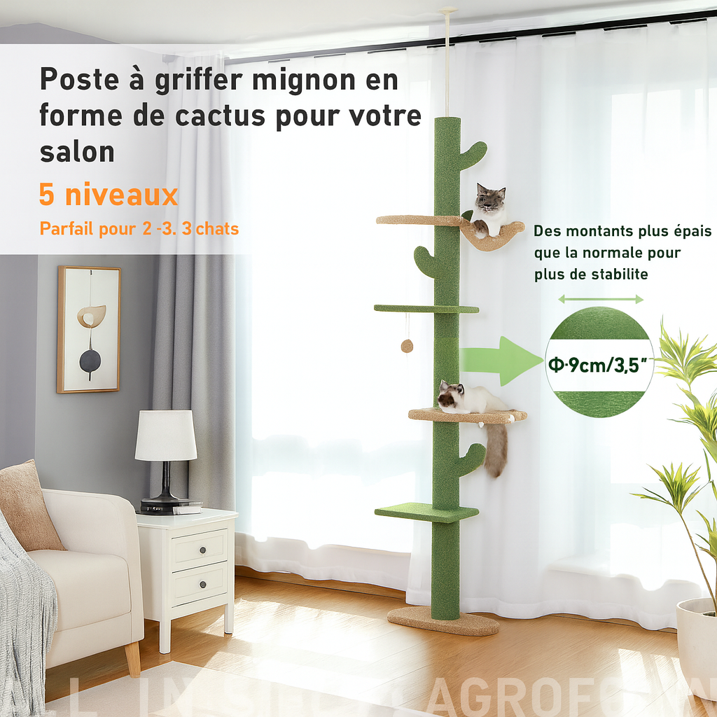 Arbre à Chat Cactus