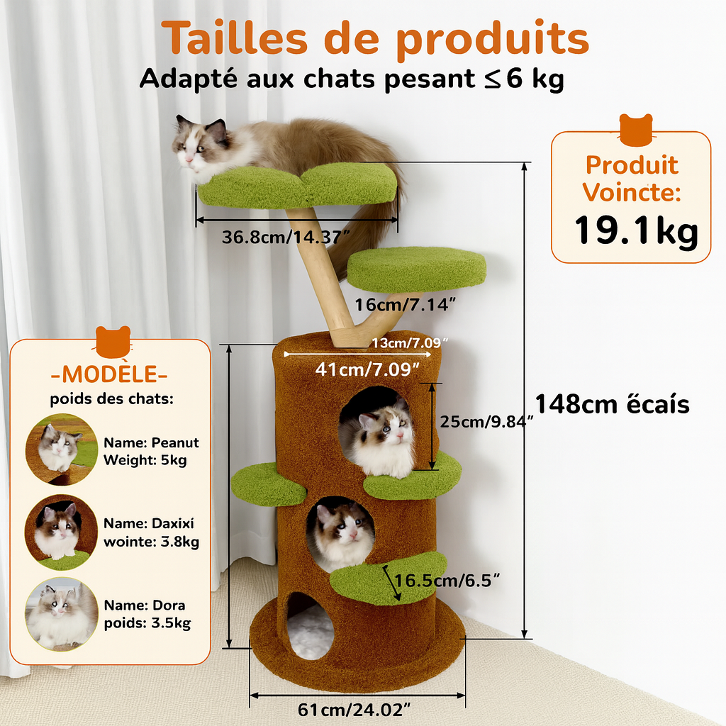 Arbre à Chat Naturel pour Chaton