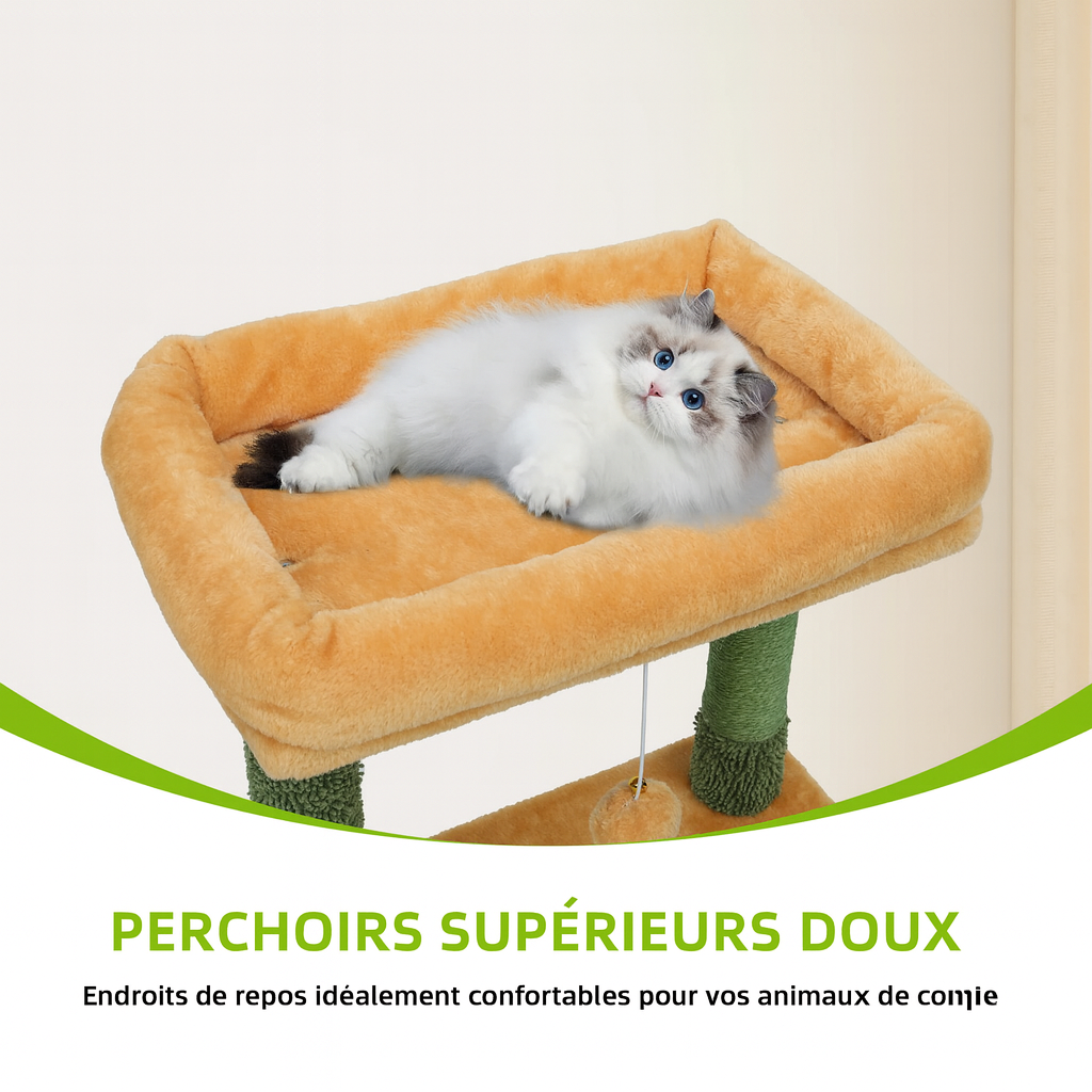 Arbre à Chat Cactus Design