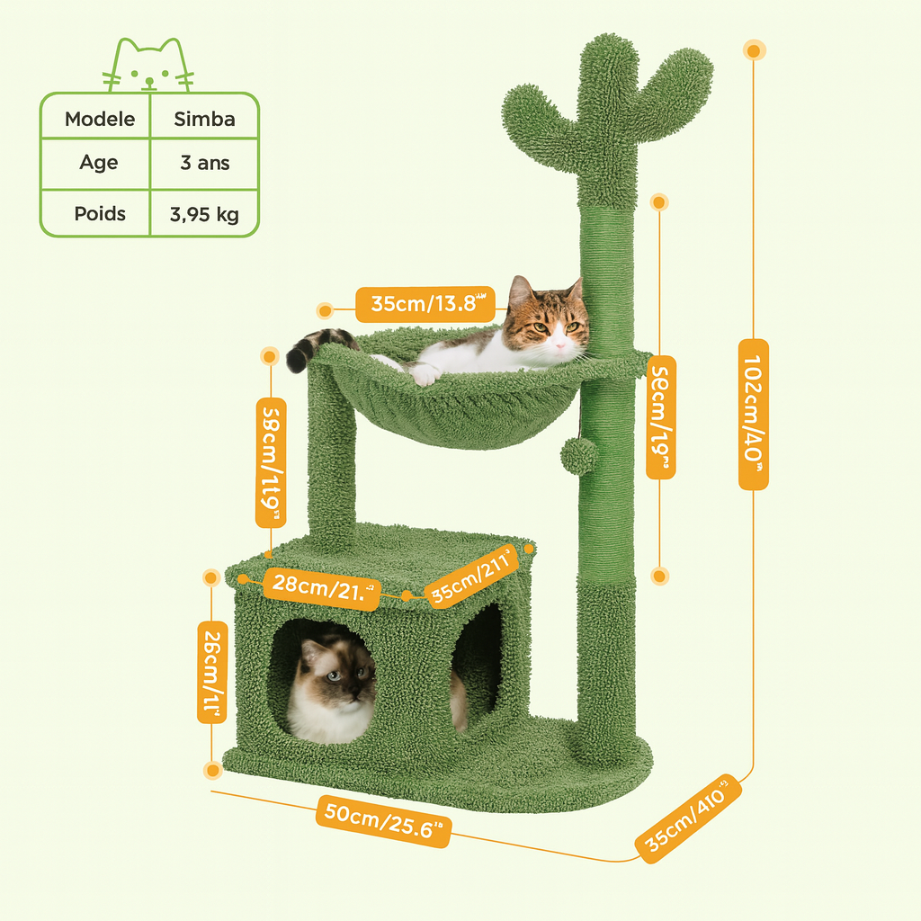 Petit Arbre à Chat Cactus