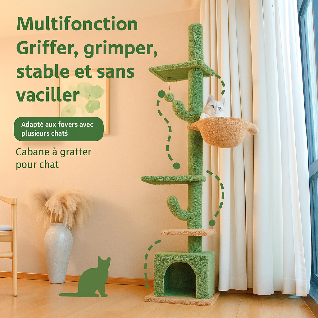 Arbre à Chat Cactus pilier