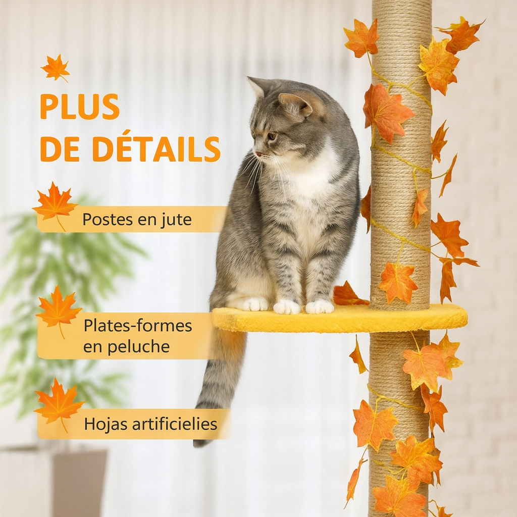 Arbre à Chat Feuillage