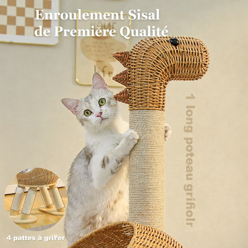 Arbre à Chat en Bois Dinosaure