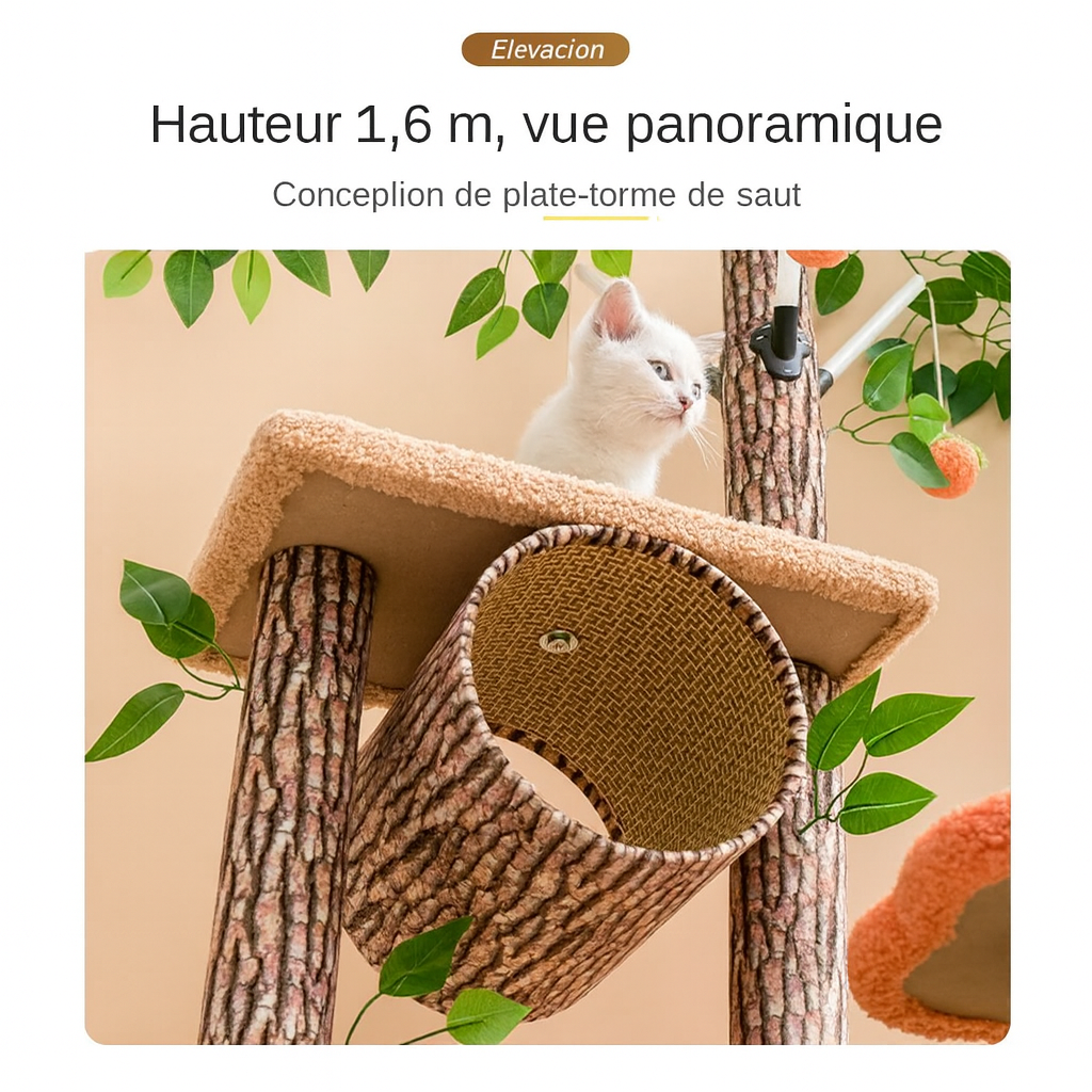 Arbre à Chat Design Naturel