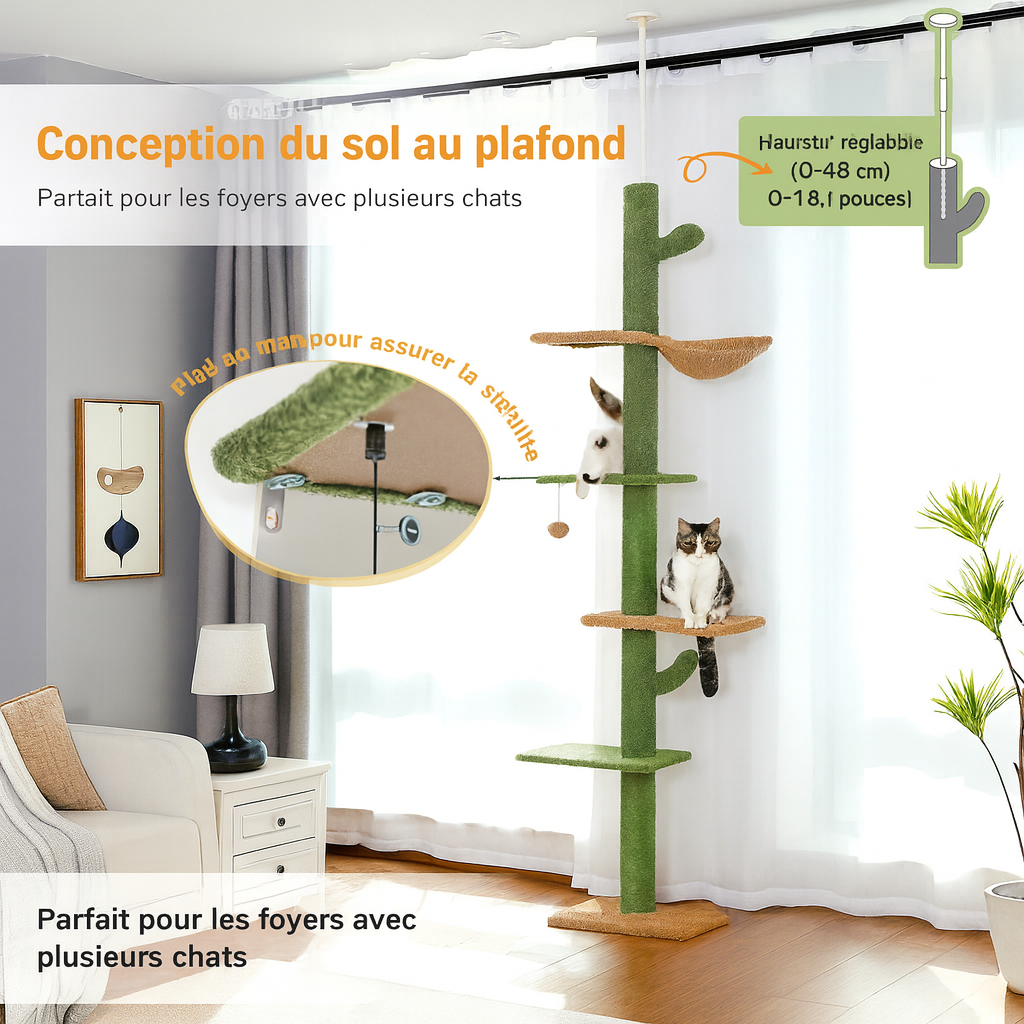 Arbre à Chat Cactus