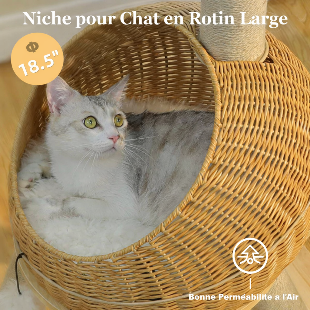 Arbre à Chat en Bois Dinosaure