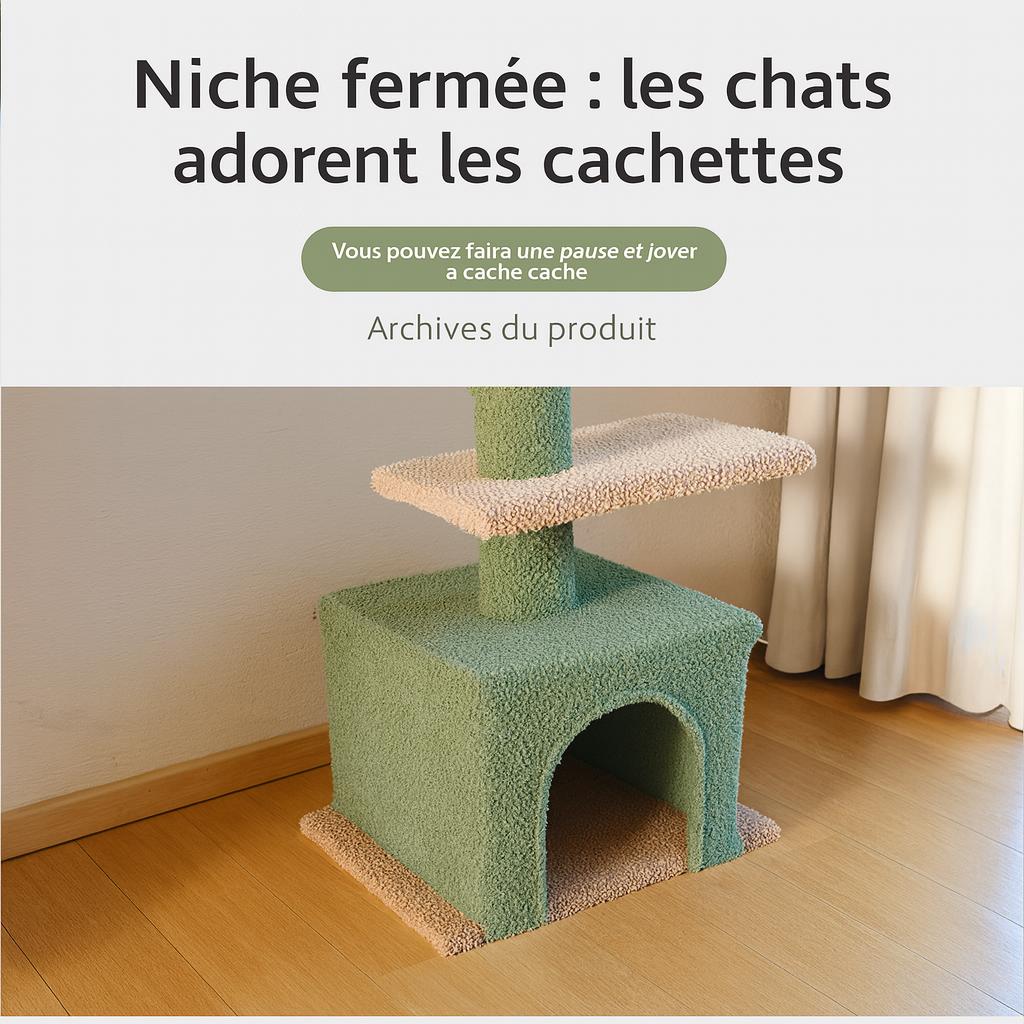 Arbre à Chat Cactus pilier