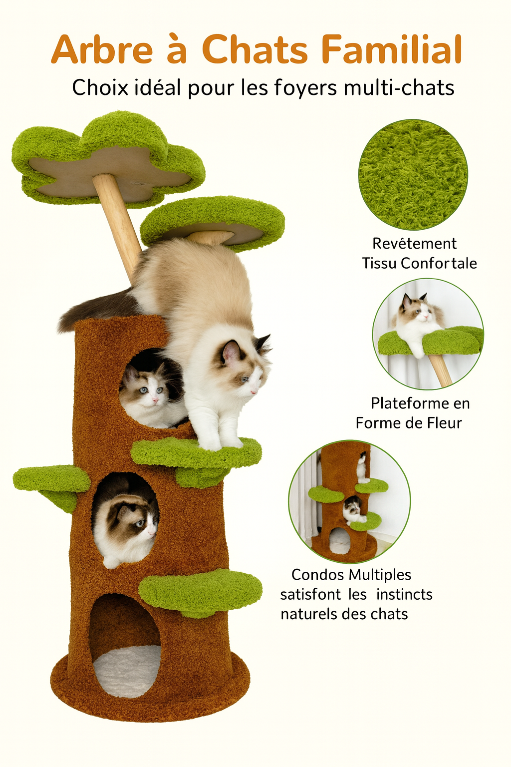Arbre à Chat Naturel pour Chaton