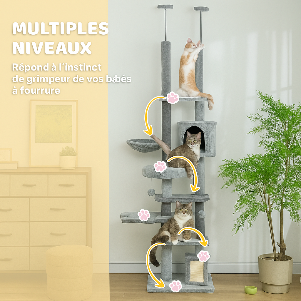 Arbre à Chat Gris du Sol au Plafond
