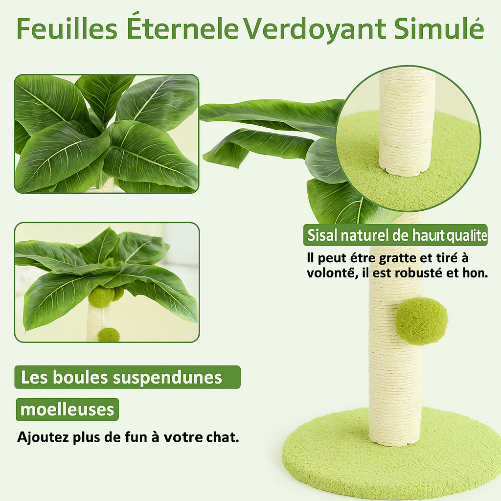 Arbre à Chat Petit Palmier
