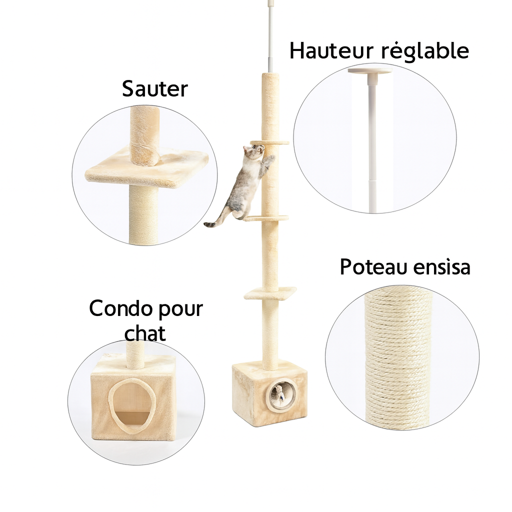 Arbre à Chat en Bois du Sol au Plafond