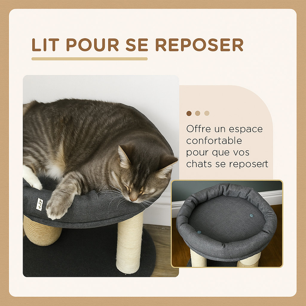 Arbre à Chat Gris Moderne