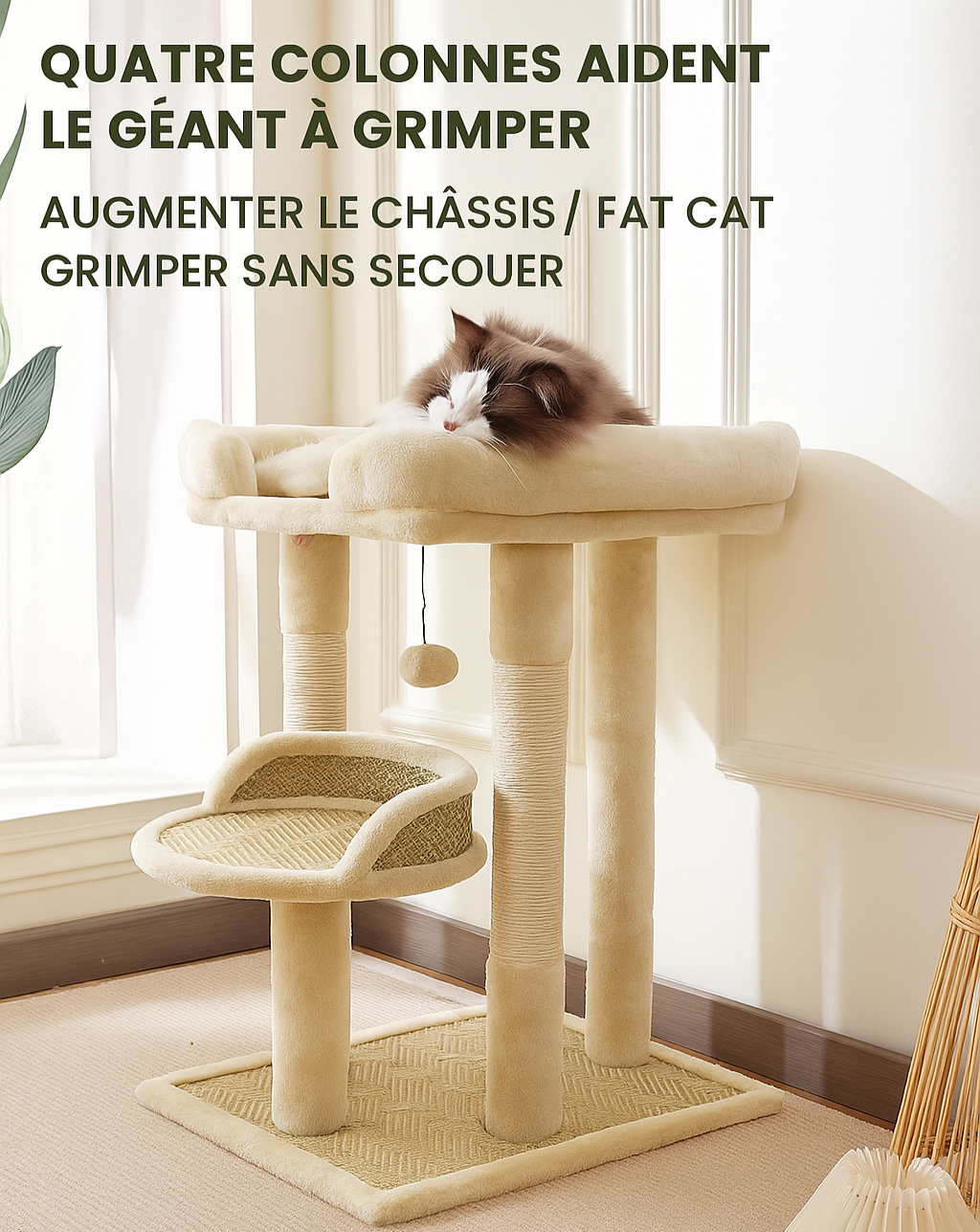 Arbre à Chat Blanc Simple