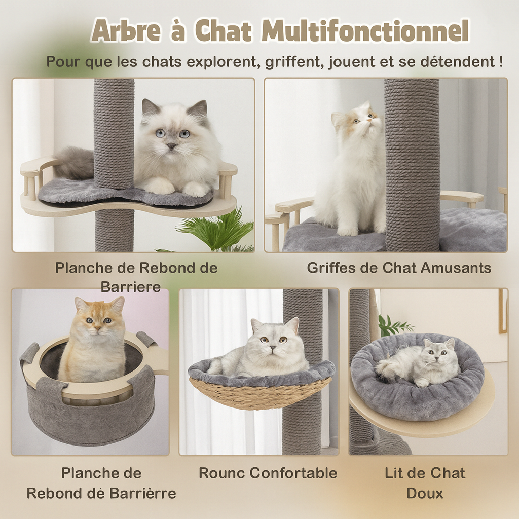 Arbre à Chat Gris foncé du Sol au Plafond