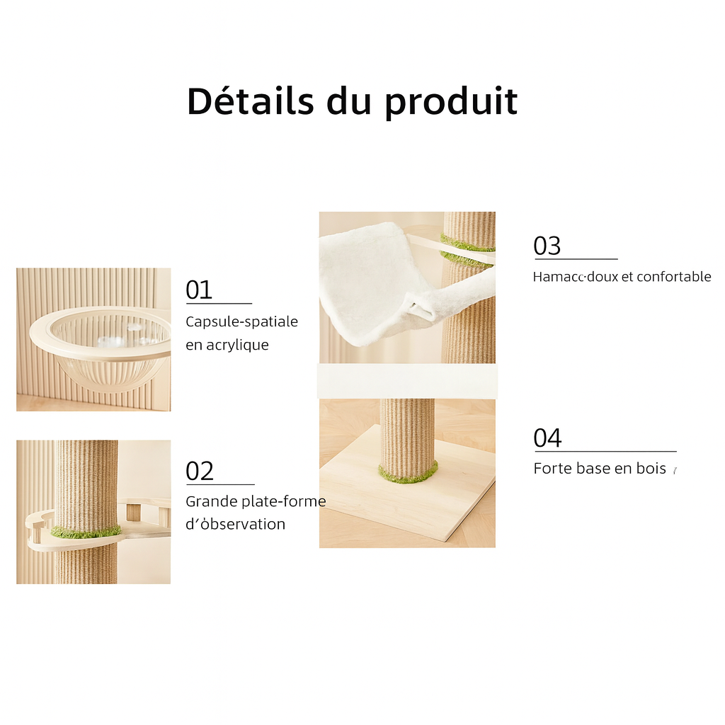 Arbre à Chat en Bois Moderne