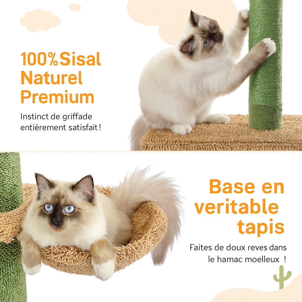 Arbre à Chat Cactus