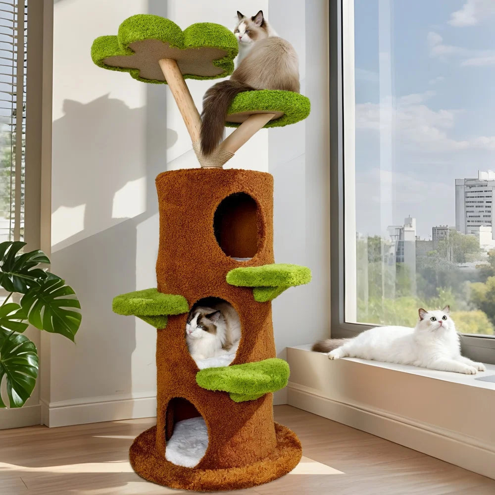 Arbre à Chat Naturel pour Chaton
