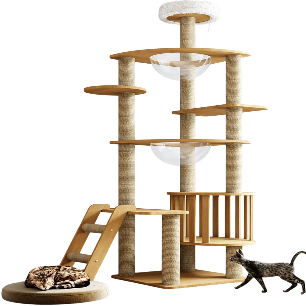 Arbre à Chat Design en Bois