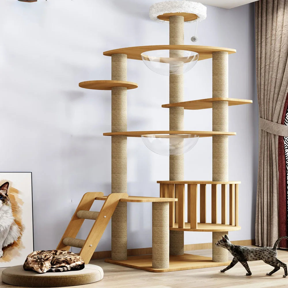 Arbre à Chat Design en Bois