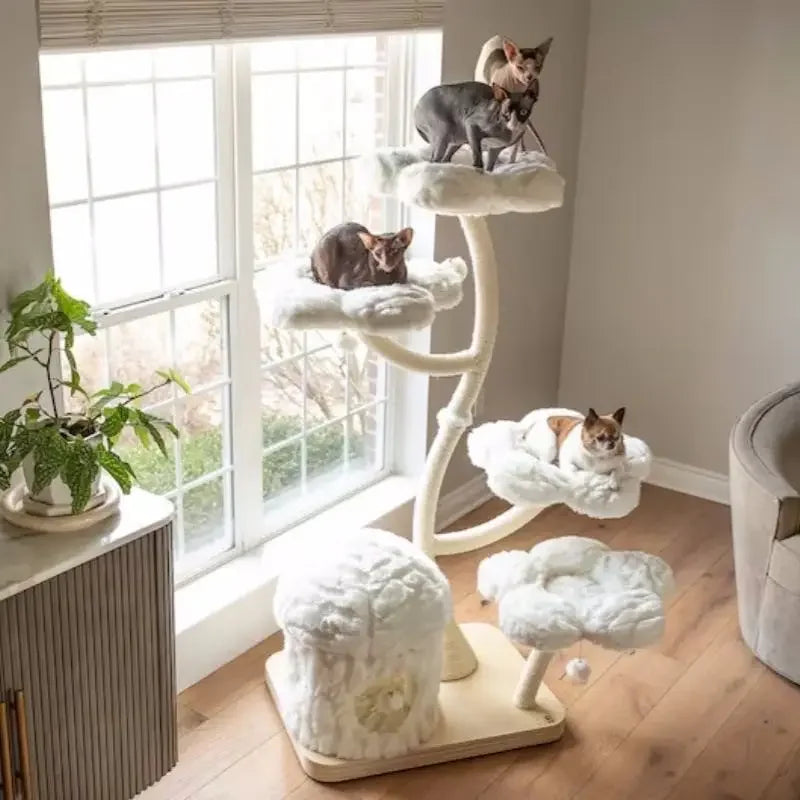 Arbre à Chat Blanc Nuage Design